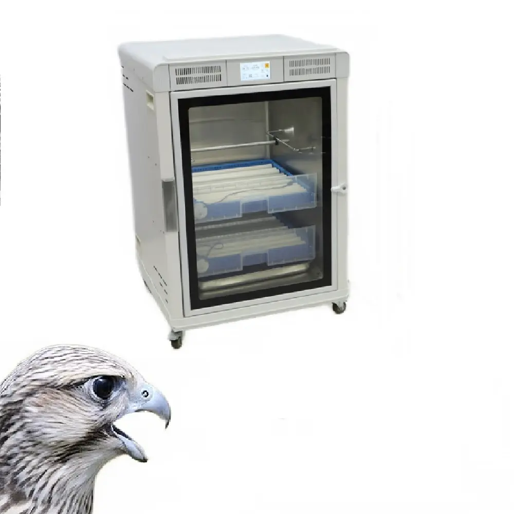 חממת ציפור מכירה חמה brooder מכונת ביצת macaw אוטומטי ביצי ציפורים למכירה