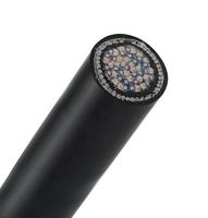 Cuivre 300V 500V 12 20 36 61 paire torsadée multipaire XLPE PVC individuel global blindé blindé Swa blindé câble d'instrument blindé