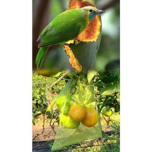 Nylon Customizable Fruit Fly-Insect & Bird Proof Mesh Bag Thick Protective Encrypted Grape Bacon Drying <b>Netting</b> - Product Image 4