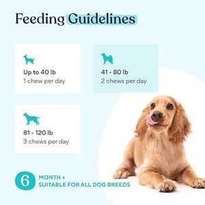 OEM Vision Soft Chews para perros-Suplemento de visión para perros para manchas de lágrimas y cuidado de los ojos del perro y apoyo inmunológico-Apoya la función inmune - Product Image 4