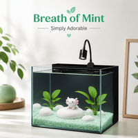 Aquarium de bureau en gros avec filtre sec-humide, ensemble d'aquarium en verre personnalisable en usine avec éclairage à 3 couleurs