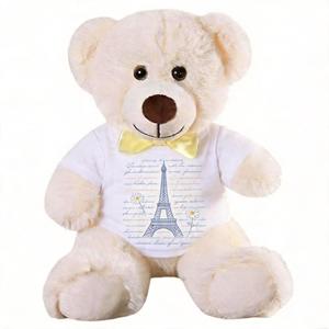 Adorable ours en peluche, design coloré, cadeaux pour la Saint-Valentin, petit MOQ, logo personnalisé, t-shirts, sweat-shirts - Product Image 5