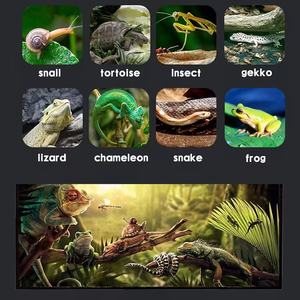 <strong>Reptile</strong> Glass Terrarium Kit Amphibian Tank Starter Kit Suitable For Small <strong>Reptile</strong> Geckos Lizard Chameleon Serpent Snake Aquarium - Product Image 4