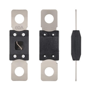 Cao hiện tại Bolt-on cầu chì 40a-500a 32V/48V/72V/125V Mega/AMG/anm cầu chì cho xe ô tô xe tải xe xây dựng xe buýt Đoàn Lữ Hành - Product Image 5