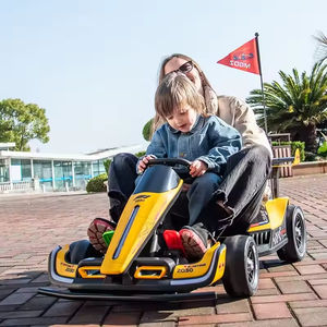 Modèles 2025, karts à pédales pour enfants personnalisés, 4 roues, kart électrique à vendre pas cher, 12V 24V, karts <span class=keywords><strong>de</strong></span> drift - Product Image 6