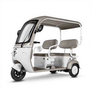 600W 48V Two-row Open Body <strong>Tuk</strong>-<strong>tuk</strong> Electric Tricycle Passenger Family Vehicle 300kg Load Lead-acid/Lithium <strong>Battery</strong> 25km/h - Product Image 4