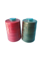 Fil à coudre en polyester 100 % durable, couleurs arc-en-ciel, 40s/2 5000Y 8000Y, fabriqué en Chine