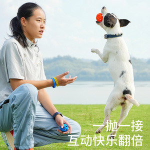 Balle de jeu pour chien, creuse, flottante, durable, distributeur de nourriture pour chiens et chats, petite taille, orange, bleu, couleurs mélangées - Product Image 1
