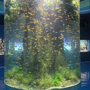 Réservoir de poissons d'aquarium en acrylique personnalisé, grand réservoir d'aquarium moderne et bon marché, aquarium décoratif en acrylique - Product Image 2