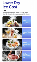 (Machine à glace sèche et machine à congeler les coupes 2-en-1) capable de produire de la glace sèche de qualité alimentaire en 10 secondes (Recrutement d'agents mondiaux)