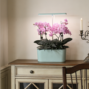 Lampe de culture LED avec rebord de jardinière, pot de plantes rectangulaire minimaliste, idéal pour les plantes vertes mélangées sur le rebord de fenêtre et dans le salon - Product Image 5