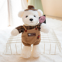 Ours en peluche mignon et habillé, en polyester doux et moelleux, brodé, pour décoration de canapé, cadeau de vacances pour enfants, personnalisable