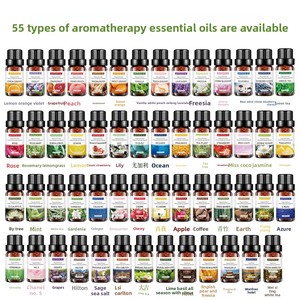 Cross-Border 10ML Water-Soluble Humidifier for Reed <strong>Diffuser</strong> <strong>Oils</strong> Factory Wholesale Lavender Rose Aromatherapy Essential <strong>Oil</strong> <strong>Oil</strong> - Product Image 1