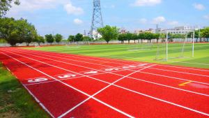 INOLP rentable classe 1 classe 2 hybride course piste d'exercice synthétique école stade piste sandwich sol sportif - Product Image 6