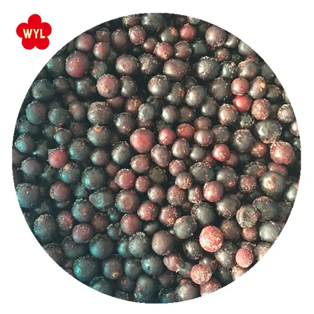 New crop frozen fruit IQF Frozen black currant origin China export to Russia