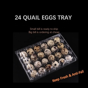Bán Buôn Thân Thiện Với Môi Nhựa 24 Chim Cút Trứng Khay Trong Rõ Ràng Dùng Một Lần Vỉ Bao Bì Thực Phẩm Cấp Bán Lẻ Hiển Thị Snap Nắp - Product Image 3