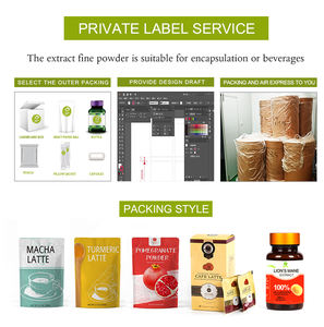 Café Instantáneo de Hongos de Marca Propia, Café de Hongos Reishi, Extracto de Hongos en Polvo, Café <span class=keywords><strong>Ganoderma</strong></span> - Product Image 5