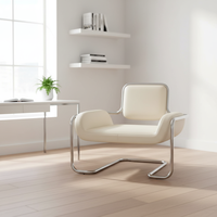 Chaise unique nordique médiévale en acier inoxydable, chaise convexe irrégulière, chaise de salon de luxe, chaise de réception