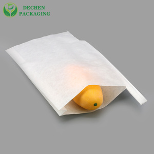 Protect Apple Grape Growing Waterproof Mango Cover Paper Bag
