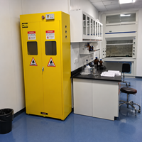 Armoire à gaz antidéflagrante à double porte, mobilier de laboratoire avec système d'alarme, stockage sécurisé pour laboratoire universitaire