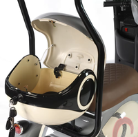 Nouveau Vélo-Taxi Électrique 2026 1000W 48V/60V à Châssis en Aluminium pour Usage Familial, Tricycle avec Toit et Prêt pour Panneau Solaire