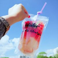 Emballages liquides pour boissons en sachet refermable transparent à vente chaude, sachets en plastique pour boissons avec paille