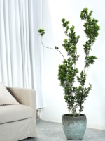 Grand pot de fleurs en ciment à motif écaille de tortue, style vintage moderne rétro, pour Dracaena marginata et Monstera, de Simple Green International