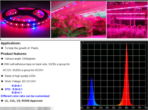 Iluminación para Cultivo <span class=keywords><strong>de</strong></span> Plantas <span class=keywords><strong>de</strong></span> 450nm a 665nm, 60led/m, DC12V y 24V, SMD5050, 19.2W/m, 14.4W/m para Plantas/Árboles, Vegetales/Flores/Césped/Botánica - Product Image 4