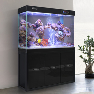 <span class=keywords><strong>Aquarium</strong></span> en verre ultra clair décoratif pour la maison - Product Image 2