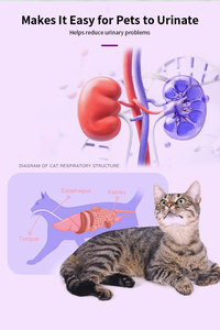 Pevet Advanced, Suplemento Dietético para el Cuidado Urinario y de la Vejiga, Extracto Natural de Arándano y Plátano, Buena Palatabilidad para Perros - Product Image 5