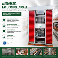 Solution de cage automatique pour poules pondeuses pour la gestion intelligente des fermes avicoles en acier galvanisé