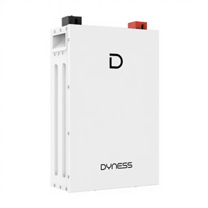 แบตเตอรี่เก็บพลังงานสำหรับบ้าน Dyness ขนาด5kWh แรงดันไฟฟ้า51.2V ความจุ100Ah เทคโนโลยี LiFePO4พร้อมระบบ BMS และ Wi‑Fi อายุการใช้งาน8,000รอบพลังงานแสงอาทิตย์สำหรับระบบอินเวอร์เตอร์แบบไฮบริด - Product Image 3