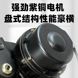 Electric Chain Hoist 10 Ton Remote Control Steel Construction Lifting Equipment - Product Image 4