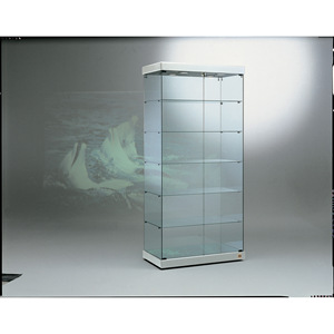 Vitrine moderne en verre 93x53x200 cm gris clair, portes battantes verrouillables, 5 étagères, éclairage LED, base miroir - Product Image 1