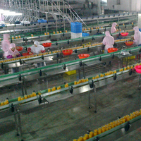 Turnkey Project Blik Oranje Verwerking Lijn Fruit Inblikken Productielijn