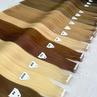Extensions de cheveux naturels 100% humains Tapeins, extensions de cheveux naturels à clipser
