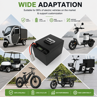 Yüksek Performanslı 60V36Ah LiFePO4 Katı Hal Batarya Paketi E-bisiklet Motosiklet Scooter EV Sınıfı 4000 Döngü Hücresi Ücretsiz Değiştirme 1