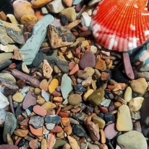 Pierre de galets de qualité supérieure pierre de <span class=keywords><strong>gravier</strong></span> de couleur de pierre de paysage naturel pour aquarium - Product Image 6