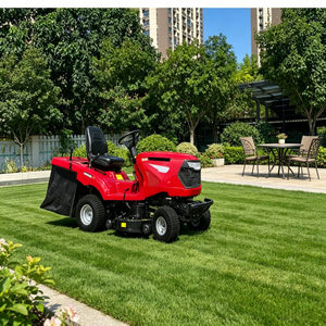 <span class=keywords><strong>Tondeuse</strong></span> autoportée à essence robuste pour terrains accidentés et zones à herbe trop haute - Product Image 1