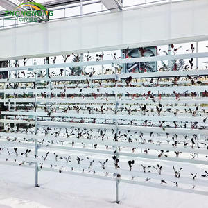 Serra Commerciale Intelligente Multi-Campata in Vetro Strutturale con Telaio in Acciaio Zincato a Caldo di Grandi Dimensioni per l'Agricoltura - Product Image 3