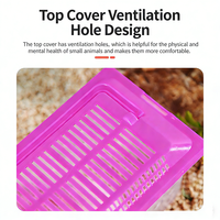 Boîte de transport transparente pour petits animaux, cage portable pour hamster et tortue, boîte de transport mini incassable pour l'élevage à domicile et en extérieur