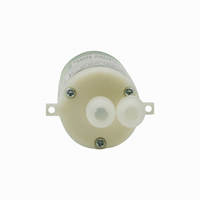 Pompe à eau électrique mini pompe à eau chaude 3V 3.7V 6V 12V 24V DC