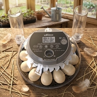 Incubateur à œufs automatique WONEGG pour volailles, capacité de 12 œufs, avec contrôleur de température, incubateurs, machine à faire éclore les œufs, en vente