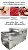 Automatische Fruitpitter Zaadverwijderingsmachine 380V Motor 304 Roestvrij Staal Hoge Efficiëntie 2.2KW Vermogen
