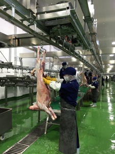 Комплексное решение для полностью автоматизированного убоя овец - Оборудование для полной линии переработки - Product Image 3