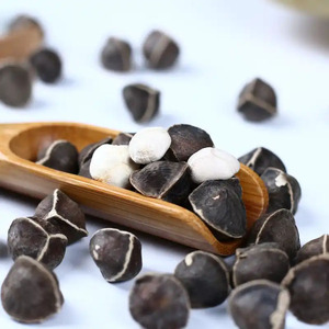 Bán buôn số lượng lớn chất lượng cao khô các loại thảo mộc Trà Moringa hạt giống Trà để bán - Product Image 2