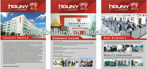 Houny Customize Large Capacity 12.8V Motorcycle Cranking Battery 4Ah - Product Image 5