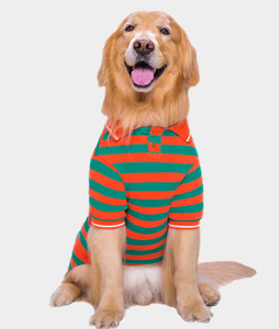 Polo à rayures pour chien, t-shirt animaux de compagnie de luxe, vêtement d'été quatre saisons, à la mode, pour grands chiots et chatons - Product Image 6