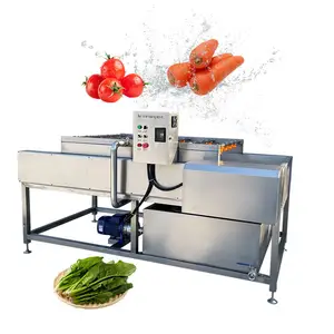 Industrial Fruit Washer Small Scale Spinach Clean Maquina Lavadora De Frutas and Vegetable for Orange
