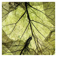 Panneaux en fibres végétales naturelles biodégradables faits à la main, taille personnalisée, texture de feuilles organiques, pour la décoration murale commerciale